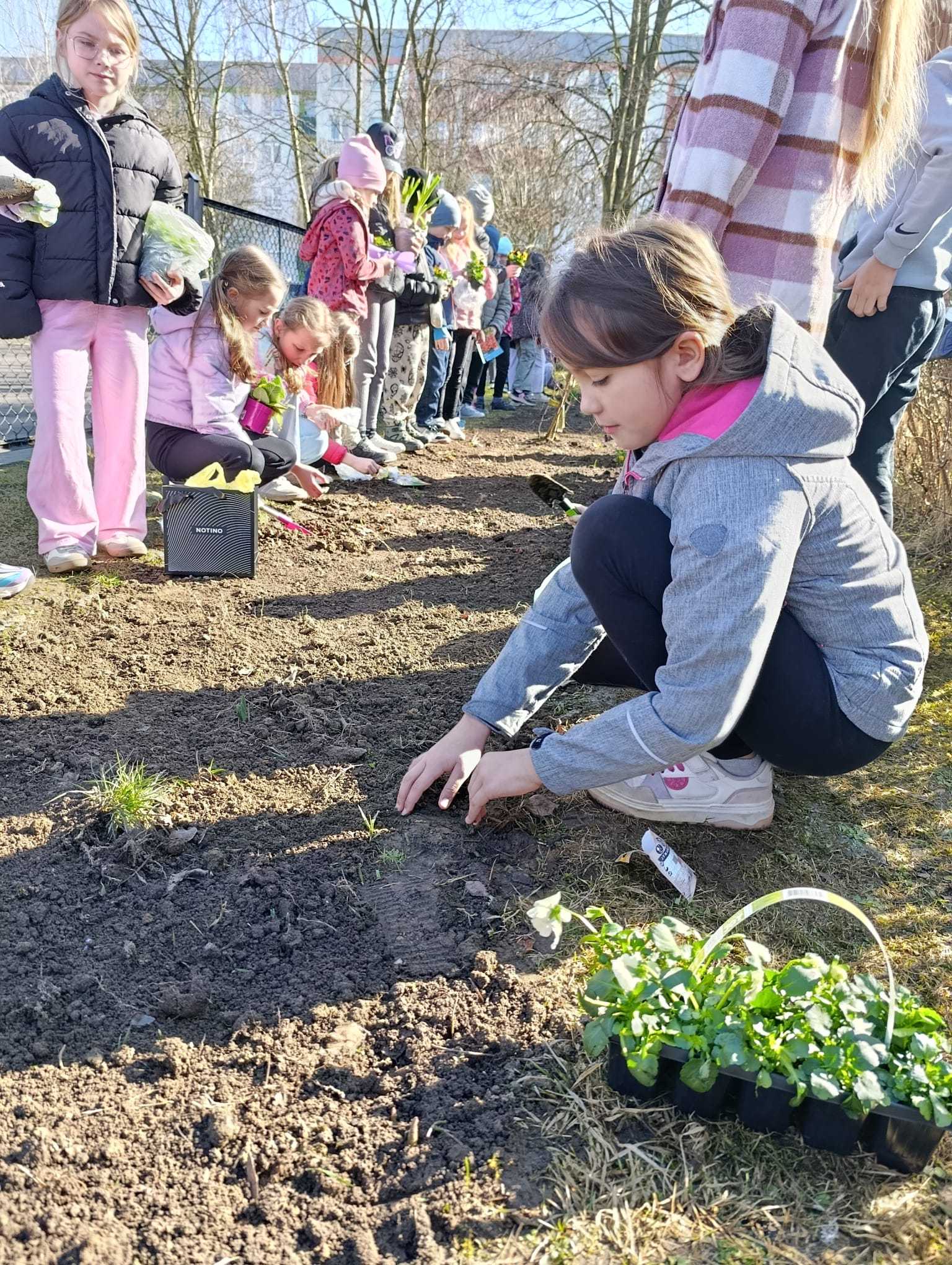 WhatsApp-Image-2026-03-18-at-13.58.19